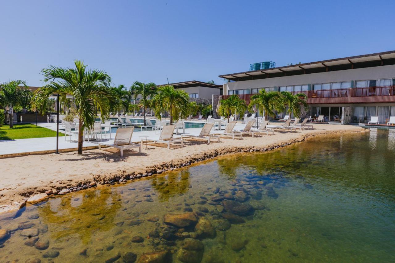 Apartment Luxo-deck Molhado Privativo-melhor Localizacao De Pipa *